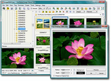 fsviewer