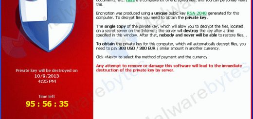 Ramsonware Cryptolocker